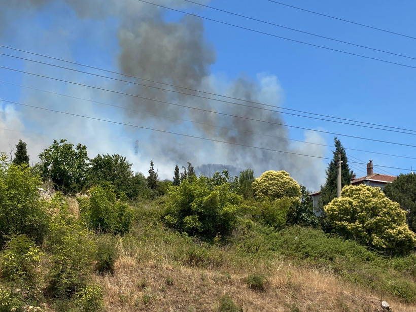 Kocaeli’de orman yangını! - Resim : 2