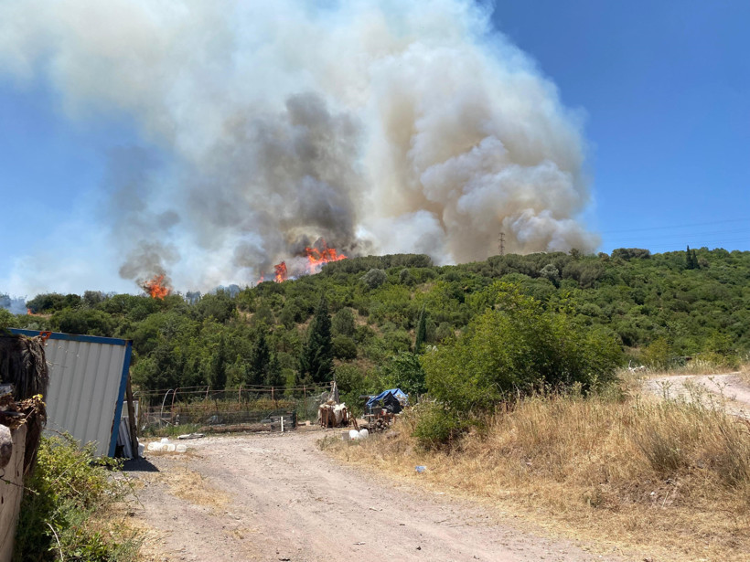 Kocaeli’de orman yangını! - Resim : 1