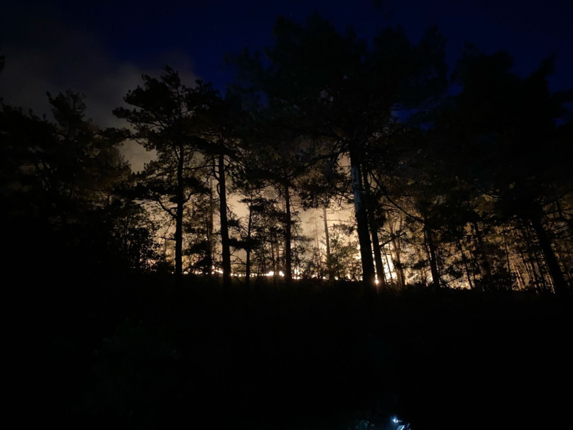 Orman yangını 8 saat sonunda kontrol altına alındı! - Resim : 2