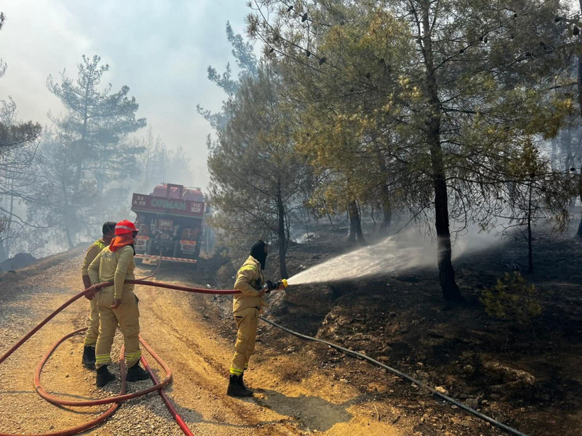Sakarya'dan sıçrayan orman yangını kül etti! - Resim: 6