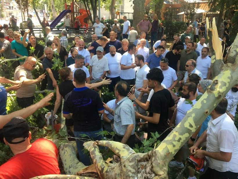 Değirmendere’de korku dolu anlar! Vatandaşların üzerine ağaç dalı devrildi - Resim : 1