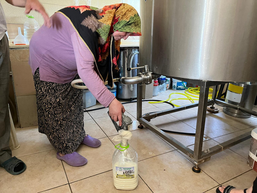 İzmit’in tek ‘Ari Belgeli’ süt üreticisi: Necdet Kocaman Süt Çiftliği doğal ve taze süt üretiyor - Resim : 6