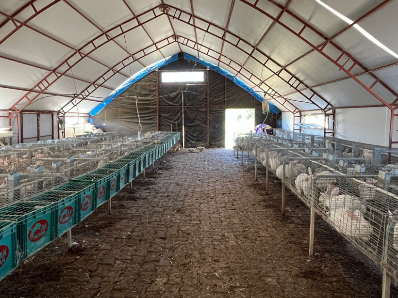 İzmitli üretici tavşan çiftliğini Nokta Medya’ya anlattı: Bu tesiste yok yok! - Resim : 15