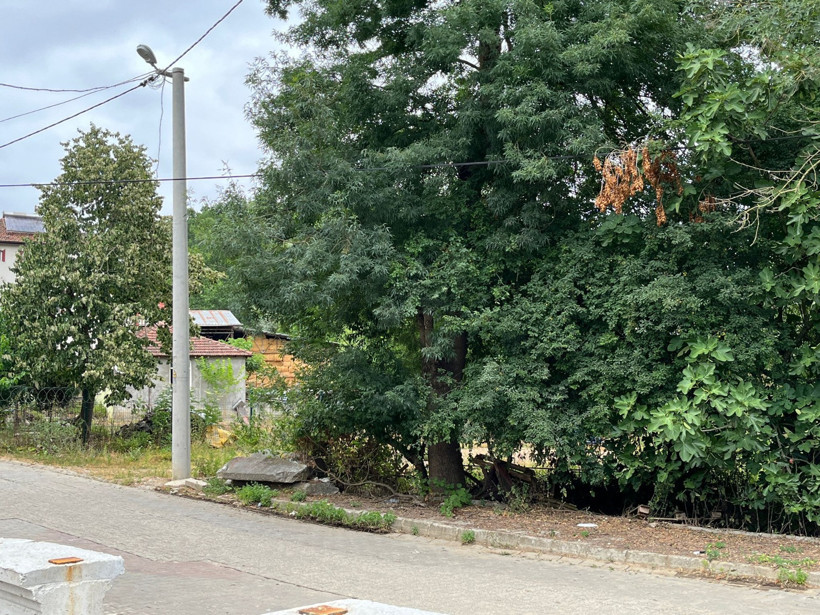 Muhtar Ünal Turan: Bölgemize silo depolama alanı istiyoruz! - Resim : 7