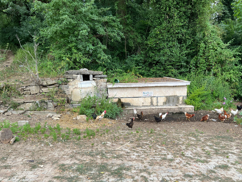 Geçmişi 700 yıla dayanıyor: İşte İzmit’teki tarihi çeşmenin içler acısı hali! - Resim : 5