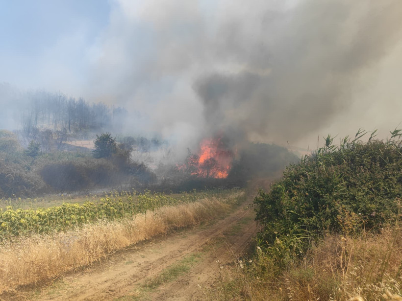 Tekirdağ'da orman yangını! - Resim : 3