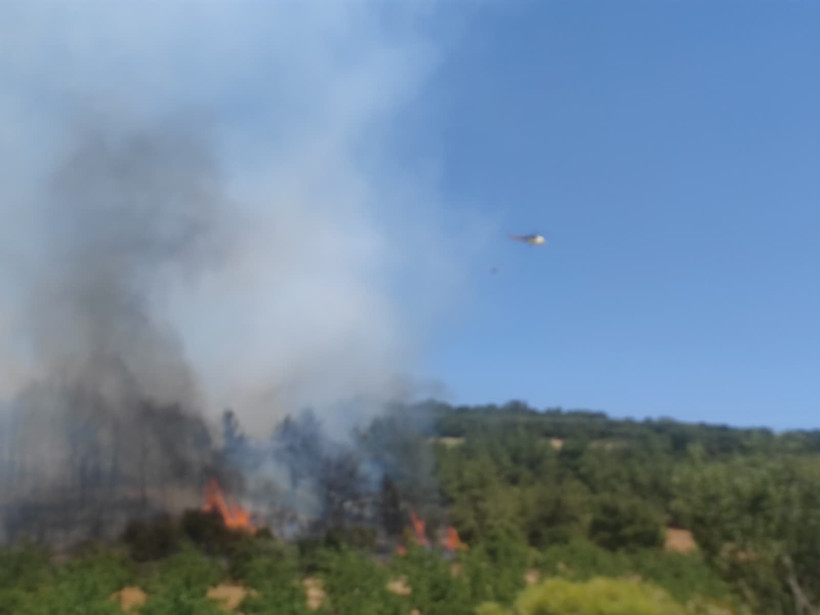 Tekirdağ'da orman yangını! - Resim : 2