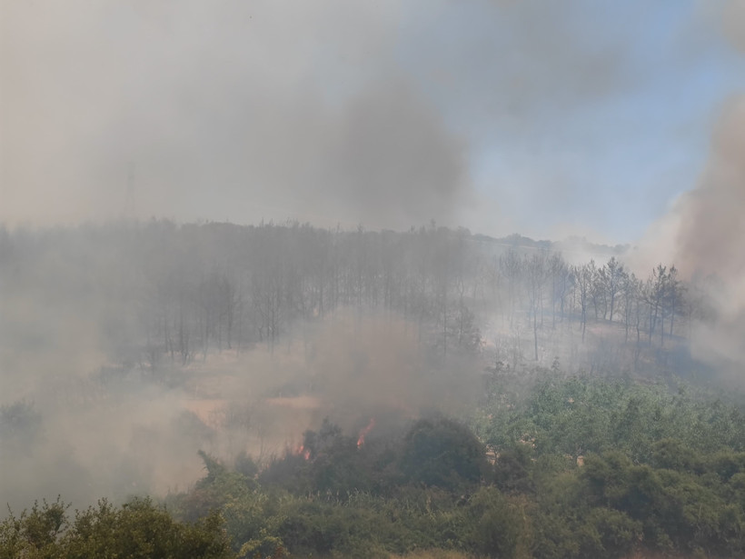 Tekirdağ'da orman yangını! - Resim : 1