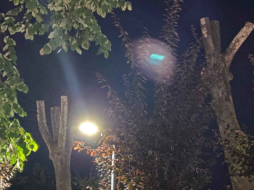 2 kişi hayatını kaybetti... Meydandaki ağaçlar budandı - Resim : 2