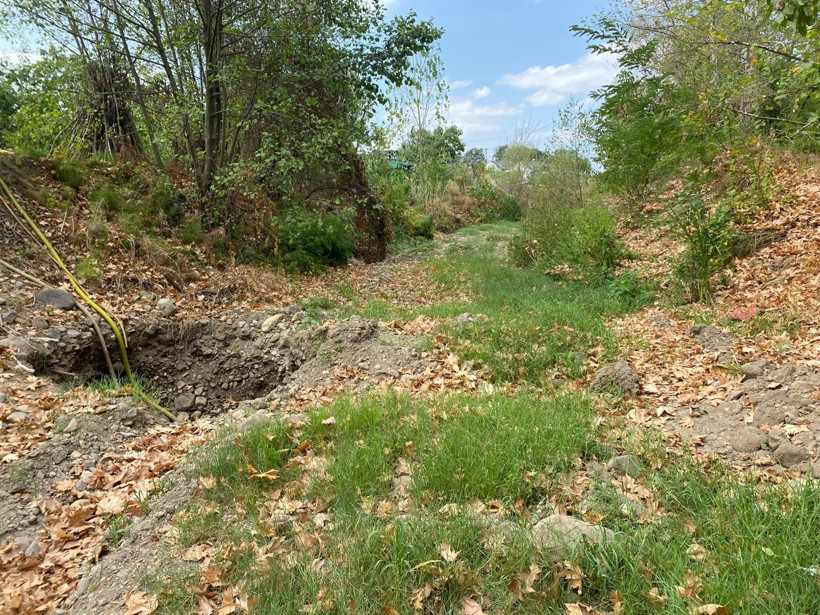 Çiftçiler şaşkın! Geleneksel yöntemler ile su arıyorlar - Resim : 2