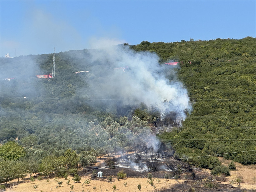 Kocaeli'de ağaçlık alanda yangın çıktı! - Resim : 4