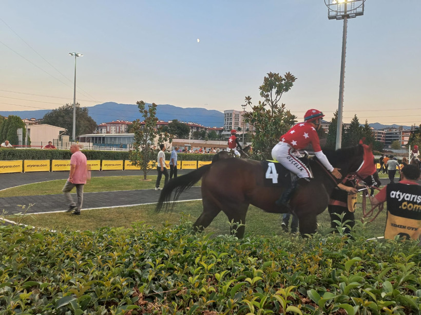 Bal Porsuğu ve algıların yıkılışı - Resim : 5