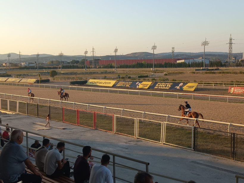 Bal Porsuğu ve algıların yıkılışı - Resim : 2