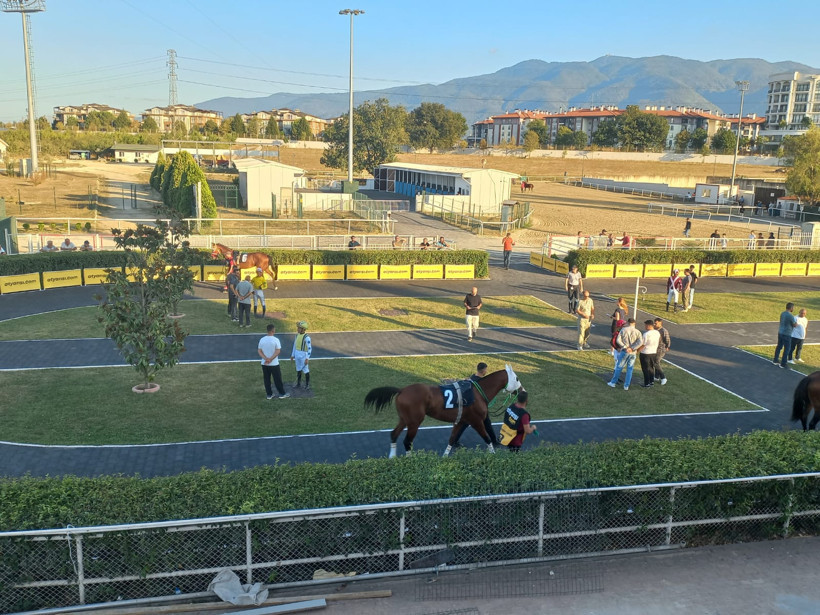 Bal Porsuğu ve algıların yıkılışı - Resim : 4