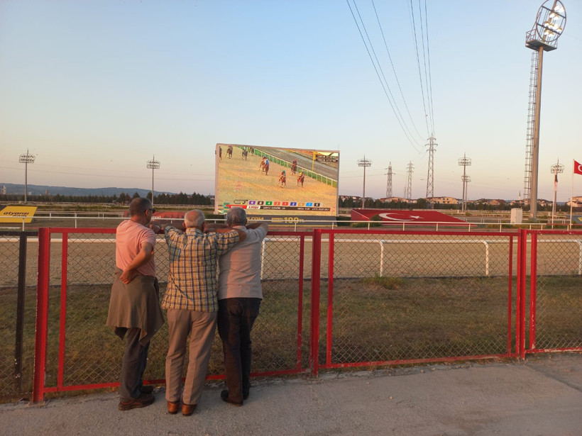 Bal Porsuğu ve algıların yıkılışı - Resim : 1