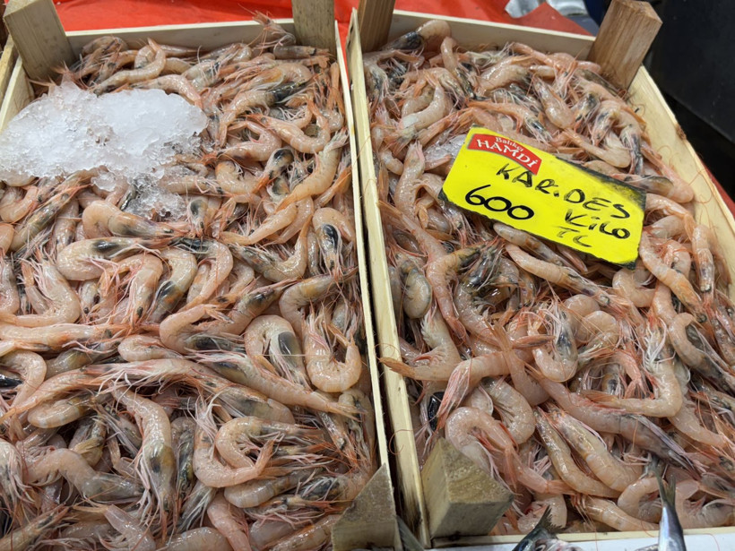 Sezon açıldı, tezgahlarda bolluk dikkat çekti! - Resim: 1