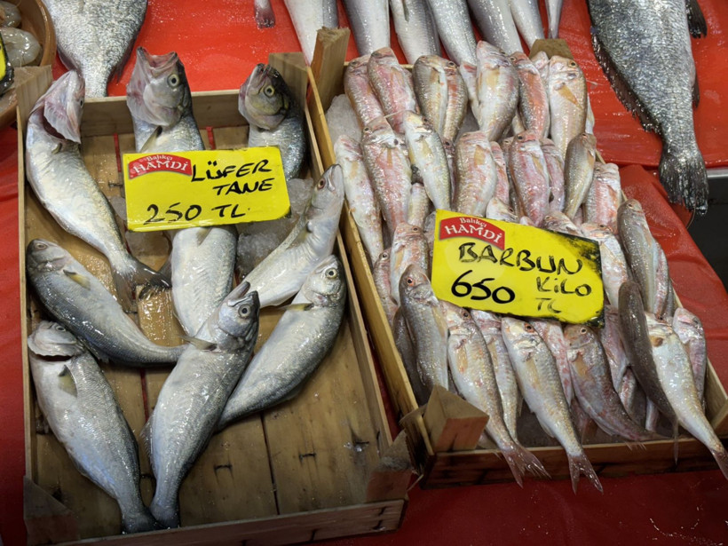 Sezon açıldı, tezgahlarda bolluk dikkat çekti! - Resim: 3
