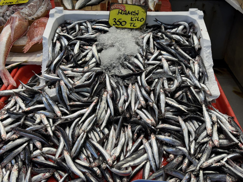 Sezon açıldı, tezgahlarda bolluk dikkat çekti! - Resim: 6