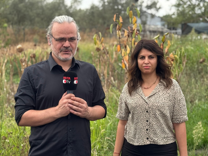 Girit’ten yola çıktı, Kocaeli’de hayat buldu: İşte karşınızda Darıca Enginarı! - Resim : 2