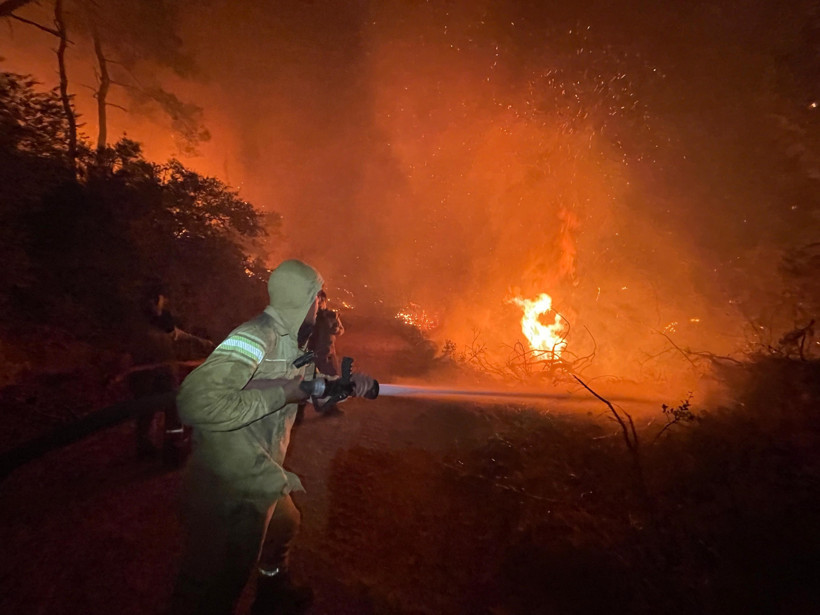 Muğla alevlere teslim oldu! - Resim : 2