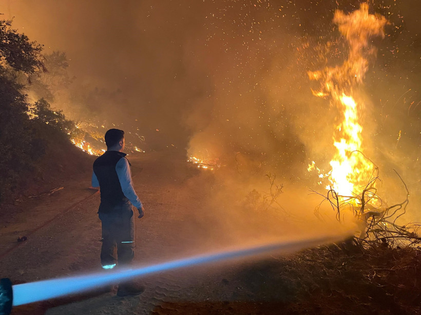 Muğla alevlere teslim oldu! - Resim : 3