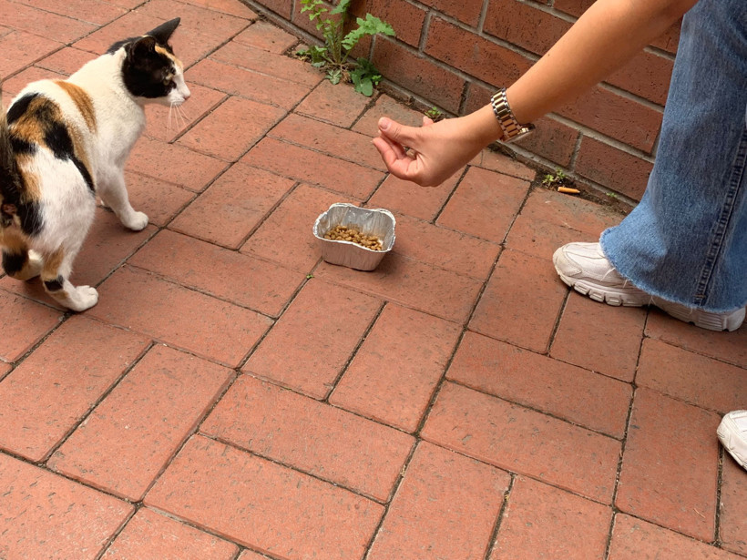 Kocaeli Gelişim Koleji öğrencilerinden anlamlı etkinlik - Resim : 2