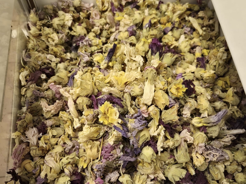 Kış hastalıklarına doğal çözüm... Her derde deva - Resim : 3