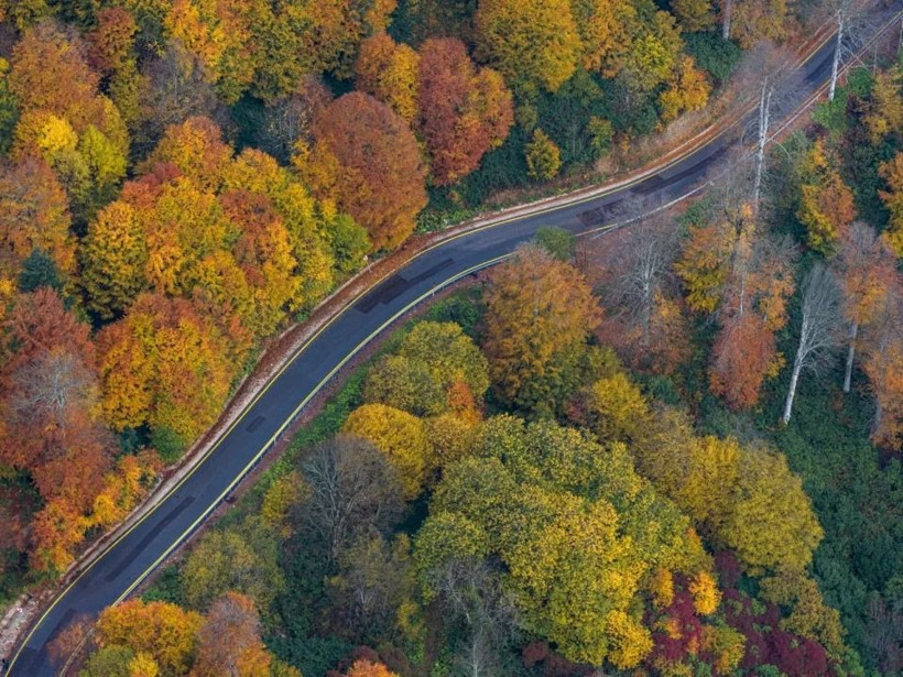 Sarı, turuncu ve kızıl renkler… Kartepe’de sonbahar güzelliği! - Resim: 15
