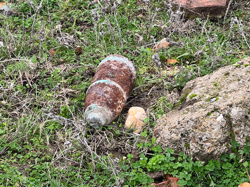 Mantar toplarken buldukları şaşkına çevirdi! İmha edildi... - Resim : 1