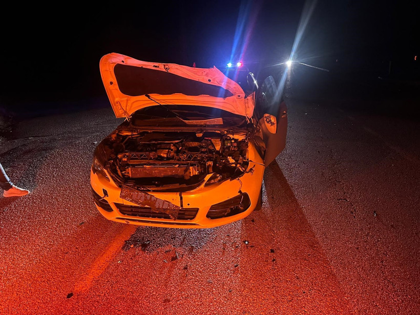 Otomobil yola çıkan danaya çarptı! - Resim : 2