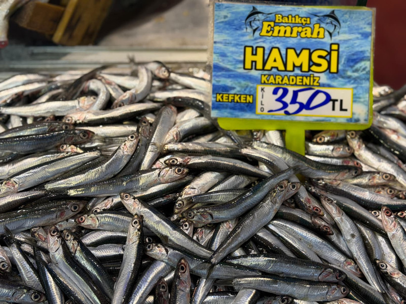 Av yasağı öncesi balık tezgahlarında son durum - Resim : 6