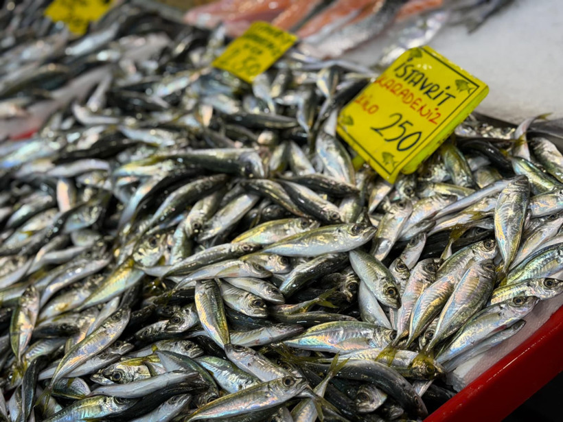 Av yasağı öncesi balık tezgahlarında son durum - Resim : 5