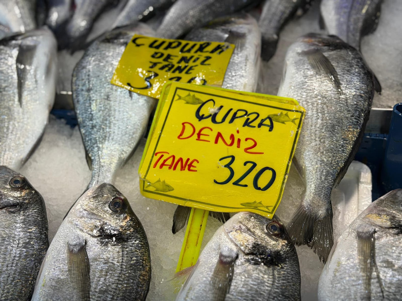 Av yasağı öncesi balık tezgahlarında son durum - Resim : 7