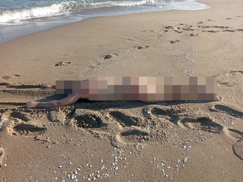 Korkunç olay! Sahilde erkek cesedi bulundu! - Resim : 1