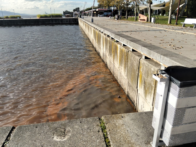 İzmit’te denizin yüzeyi kırmızıya boyandı! - Resim : 1