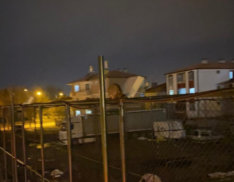 İtfaiyeden kedi kurtarma operasyonu - Resim : 1