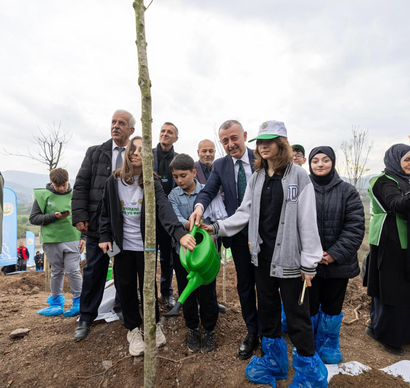 Karamürsel'de yaralar sarılıyor: Binlerce fidan doğaya can verecek - Resim : 4