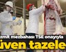 İzmit mezbahası TSE onayıyla güven tazeledi