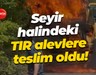 Seyir halindeki TIR alevlere teslim oldu!